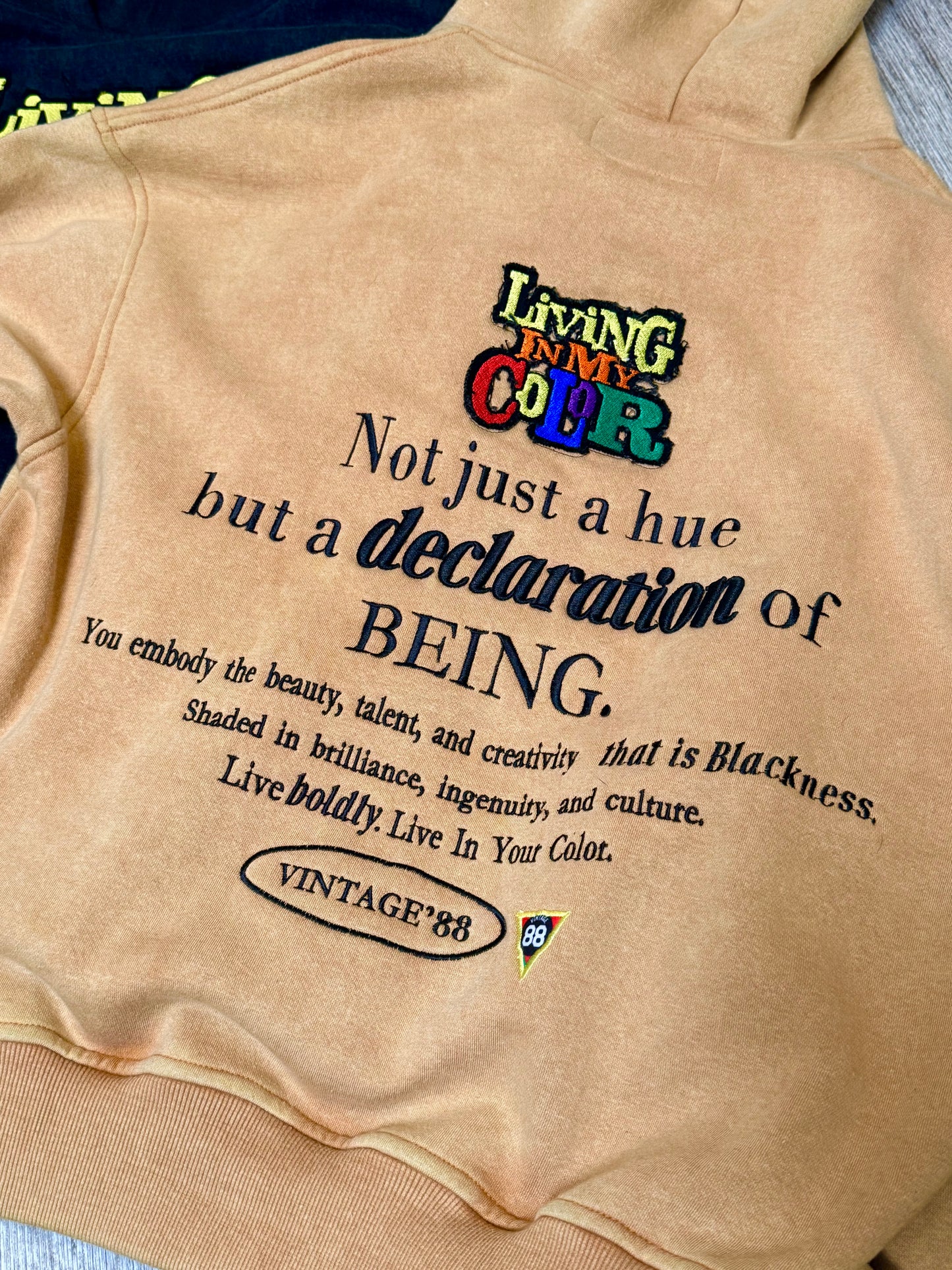The "Declaration" Hoodie