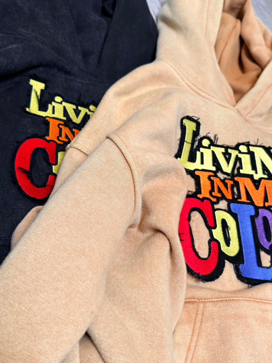Two mineral washed hoodies with colorful text design on a neutral background