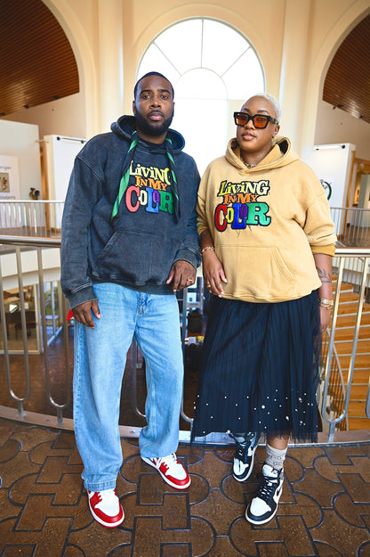 The "Declaration" Hoodie